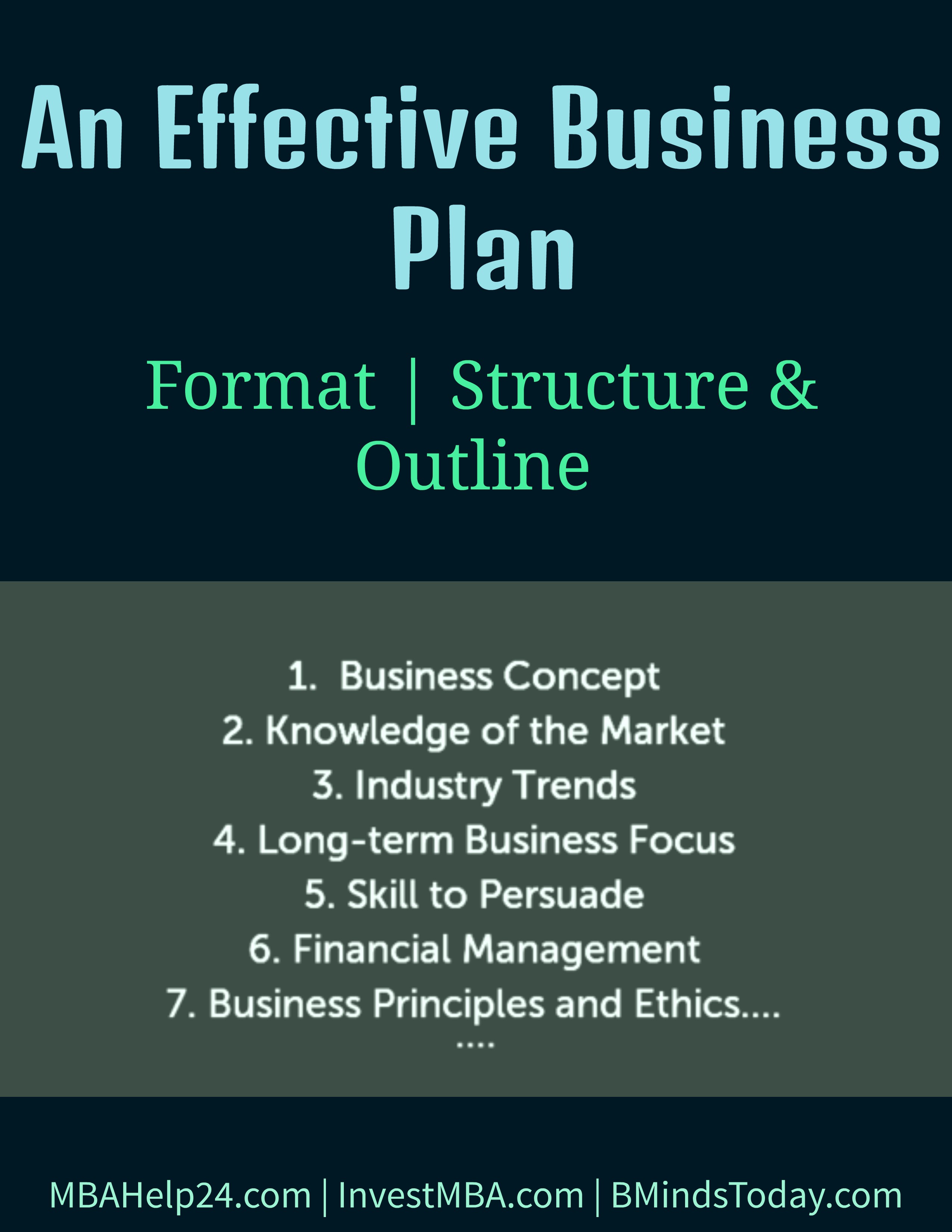 An Effective Business Plan Including Format Structure And Outline